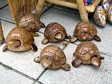 ... and classic Bulgarian turtles (-;